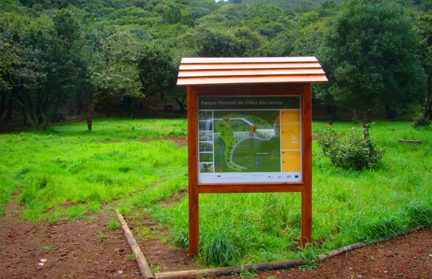 Floresta da Laurissilva da Madeira - Chão dos Louros